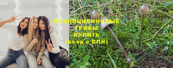 крисы Баксан