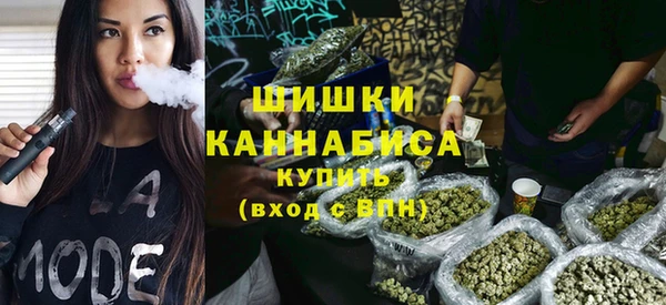 крисы Баксан