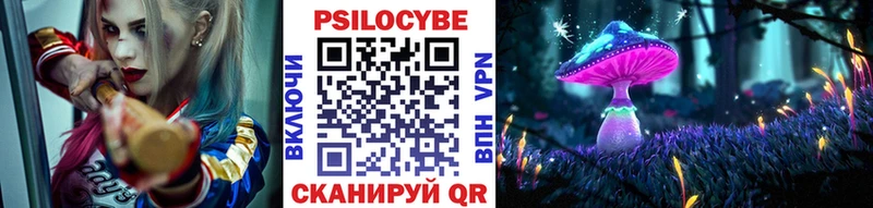 Галлюциногенные грибы Psilocybine cubensis  Олёкминск 